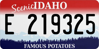 ID license plate E219325