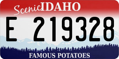 ID license plate E219328