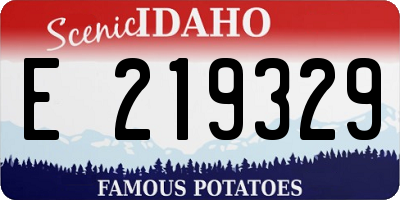 ID license plate E219329