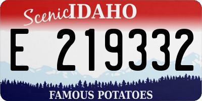 ID license plate E219332