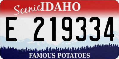 ID license plate E219334
