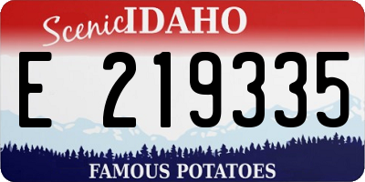 ID license plate E219335