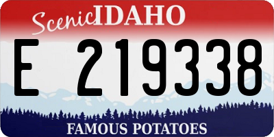 ID license plate E219338