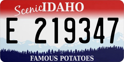 ID license plate E219347