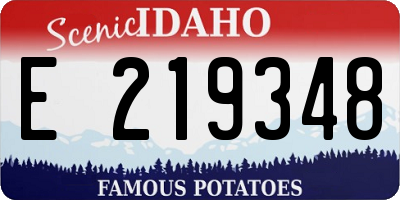 ID license plate E219348
