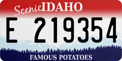 ID license plate E219354