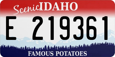 ID license plate E219361