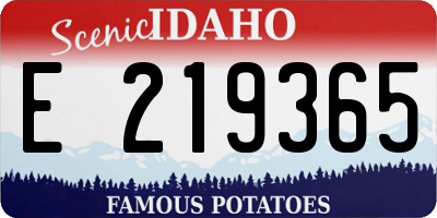 ID license plate E219365