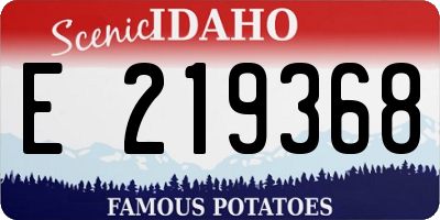 ID license plate E219368