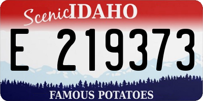 ID license plate E219373