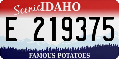 ID license plate E219375