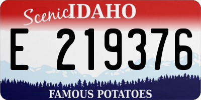ID license plate E219376