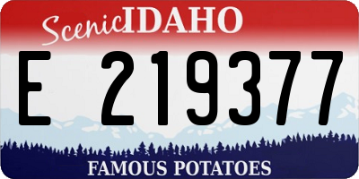 ID license plate E219377