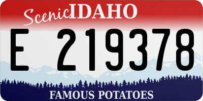 ID license plate E219378