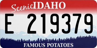 ID license plate E219379