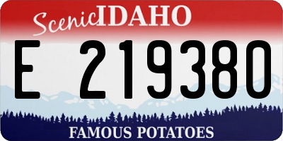 ID license plate E219380
