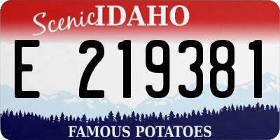 ID license plate E219381