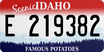 ID license plate E219382