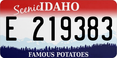 ID license plate E219383