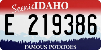 ID license plate E219386