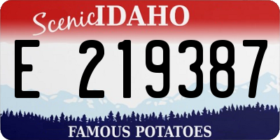 ID license plate E219387