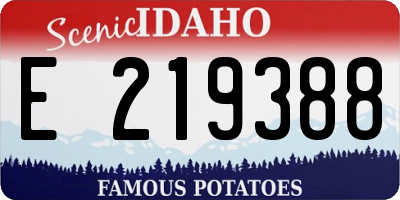 ID license plate E219388