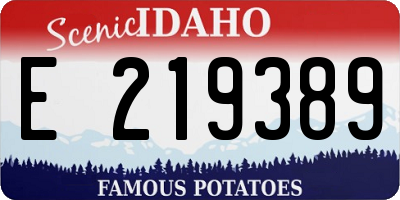 ID license plate E219389
