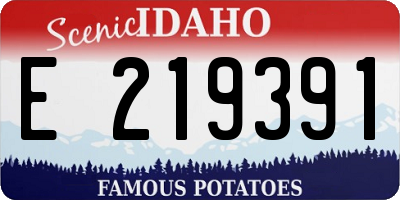 ID license plate E219391