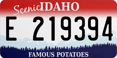 ID license plate E219394