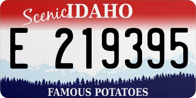 ID license plate E219395