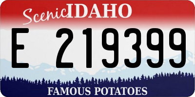 ID license plate E219399