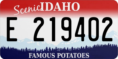 ID license plate E219402