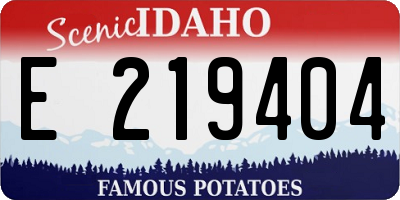 ID license plate E219404