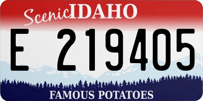 ID license plate E219405