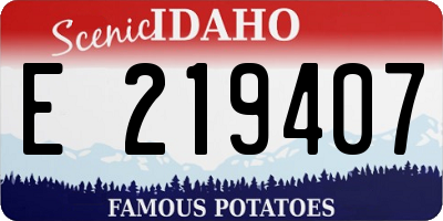 ID license plate E219407