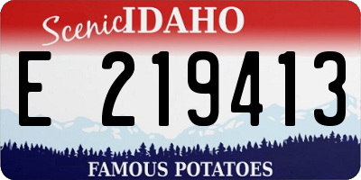 ID license plate E219413