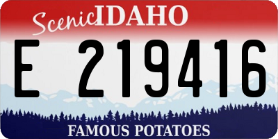 ID license plate E219416