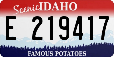 ID license plate E219417