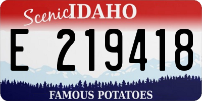 ID license plate E219418
