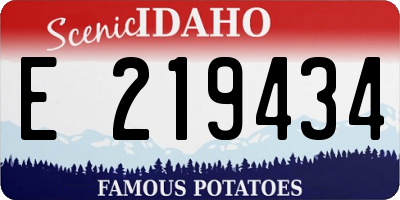 ID license plate E219434