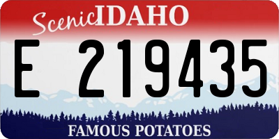 ID license plate E219435