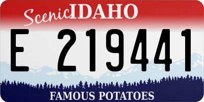 ID license plate E219441