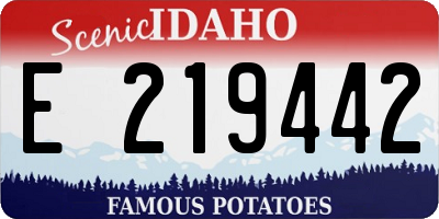 ID license plate E219442