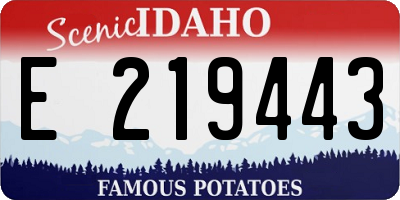 ID license plate E219443