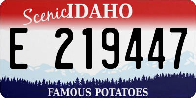 ID license plate E219447