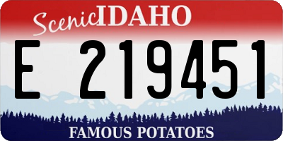 ID license plate E219451