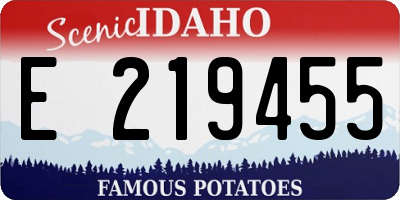 ID license plate E219455