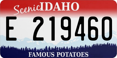 ID license plate E219460