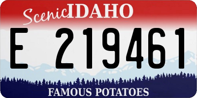 ID license plate E219461