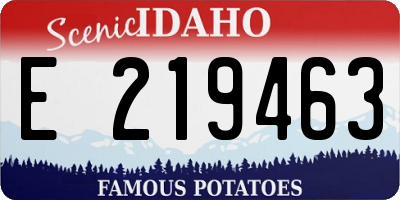 ID license plate E219463